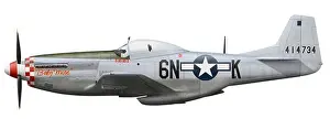 Propeller Prints: North American P-51D Mustang, nicknamed Baby Mine