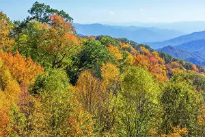 Autumn Prints: North Carolina, Great Smoky Mountains National Park, view from Newfound Gap Road