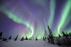 Atmospheric Light Prints: Northern Lights, Northwest Territories (Aurora borealis), Canada, North America