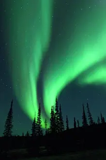 Optical Prints: Northern Lights, Northwest Territories, Canada