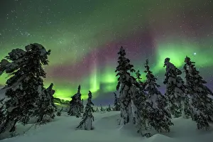 Violet Prints: Then northern lights twist