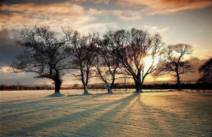 Northumberland Prints: northumberland, england, sun setting over a field and trees