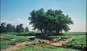 Peacefulness Prints: Oaks in Dubki, by Siskin Ivan Ivanovic, 19th Century, 1886, oil on canvas, cm 38 x 62