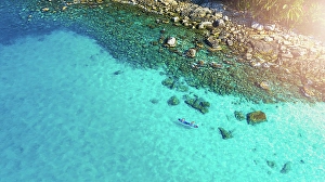 Water Sport Prints: Ocean, drone and people on paddle board for vacation adventure