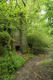 Somerset Prints: The old abandoned Stowey Mill in Kersham wood in the Brendon Hills of Exmoor National Park