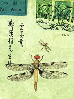 Envelope Prints: An old letter with stamps, Chinese characters, and dragonflies