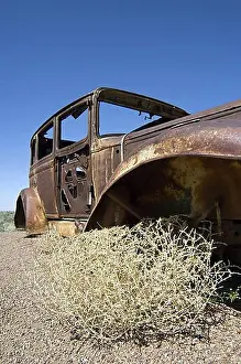 Round Prints: Old rusty car and Prickly Russian Thistle