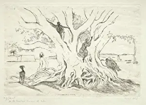 Czech Prints: The Old Sycamore Tree in Arabia