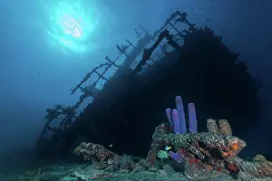 Mystery Prints: Old wreck ship on underwater bottom of coral reef with tropical fish;Sunken ship with corals under sea