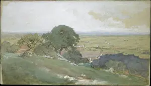 George Prints: Olive Trees at Tivoli 1873 George Inness American Widely regarded in the late nineteenth century as Americas premier
