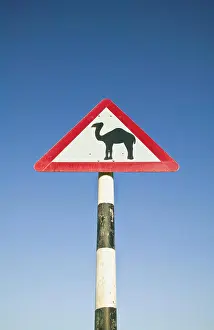 Middle Eastern Prints: Oman, Dhofar Region, Salalah. Camel Crossing Sign in the Dhofar Mountains / Morning