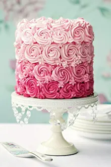 Rose Prints: Ombre cake in shades of pink by Ruth Black at The Picture Pantry