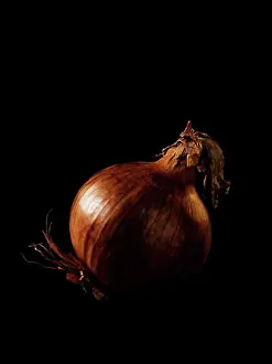 Ingredient Prints: Onion on black background