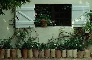 Open white shutters above row of cylindrical pots