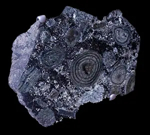 Chamber Prints: Orbicular rock Alderney, Channel Islands