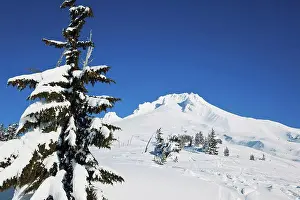 Hood Prints: oregon cascades, oregon, united states of america, fresh winter snow on mount hood