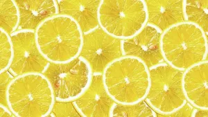 Ingredient Prints: Organic lemon fruit slices natural juicy background