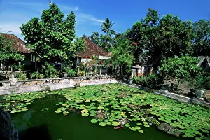 Destination Prints: Ornamental lake at the old palace of the Raja of Karangasem
