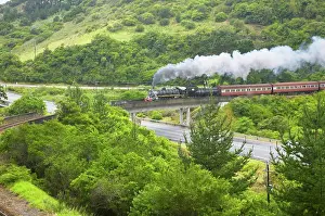 George Prints: The Outeniqua choo tjoe. Knysna. Western Cape. South Africa