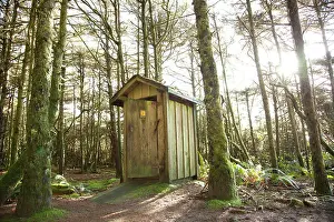 Long Beach Prints: An outhouse or pit toilet in the rainforest at Green Point near Long Beach