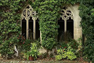 Cloister Prints: Overgrown dimension windows, coachman's hall