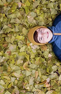 Kingston Prints: Overhead of happy boy laying on a pile of yellow leaves on fall day