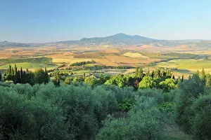 Tuscany Prints: Overview of Countryside in Summer
