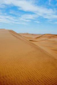 2008 Prints: Overview of the sand dunes of the Namib Desert in evening light near Swakomund, Namibia