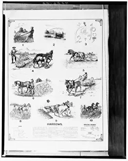 Instruction Prints: Page from The Growth of industrial art