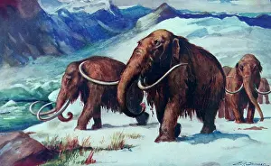 Roaming Prints: Painting depicting Mammoths roaming the earth during the early ice age