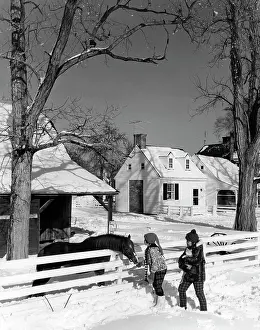 Full Length Prints: Pair of children feeding horse in winter scenery