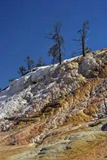 Terrace Prints: Palette Spring, Mammoth Hot Springs