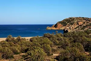 Coast Prints: Palm beach of Vai, largest natural palm forest in Europe