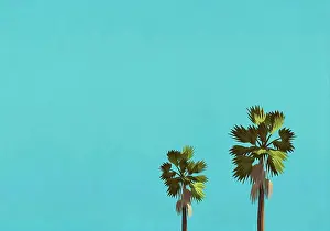 Green Color Prints: Palm trees against blue sky