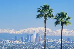 Los Angeles Prints: Two palm trees, Los Angeles and snowy Mount Baldy as seen from the Baldwin Hills