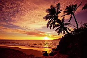 Non Urban Prints: Palm trees at sunset; Kihei, Maui, Hawaii, United States of America