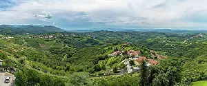 Drinks Prints: A panorama picture of the vineyards and landscape of Gorika Brda
