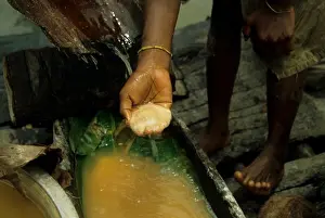 : PAPUA NEW GUINEA, SEPIK RIVER, NEAR ANGORAM, VILLAGE, SAGO PALM PROCESSING, END PRODUCT