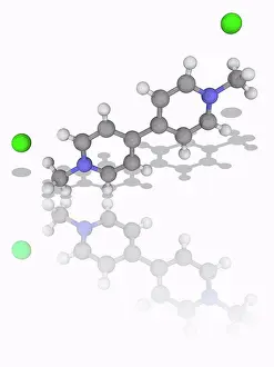 Toxic Prints: Paraquat. Molecular model of the herbicide paraquat (C12)
