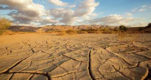 Dried Prints: parched ground in the Aravah desert, Israel