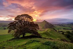 Land Scape Prints: Parkhouse Hill at sunrise