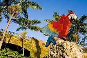 Florida Prints: Parrot Jungle, Miami, Florida, USA