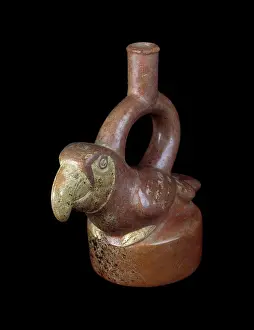 Florida Prints: Parrot stirrup spout vessel, from Moche I