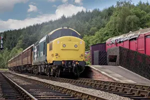 On The Move Prints: Passenger train stopped at a station; Ainthorpe, North Yorkshire, England