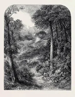 Surrey Prints: THE PATH TO BLACKDOWN AND THE SURREY HIGHLANDS