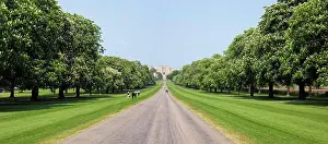 Vanishing Point Prints: Path leading to a castle, Windsor Castle, Windsor Great Park, Berkshire, England