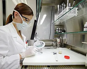 Doctors Prints: Pathologist dissecting a skin tumor removed from a patient for microscopic examination