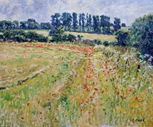 Pen Hill (Morning, June) by Charles Neal, oil on panel, (b.1951)