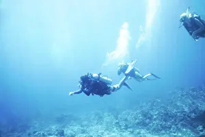 Expert Prints: People, swimming and scuba diving in ocean to explore underwater