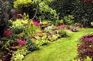 Perennials Prints: Perennial garden